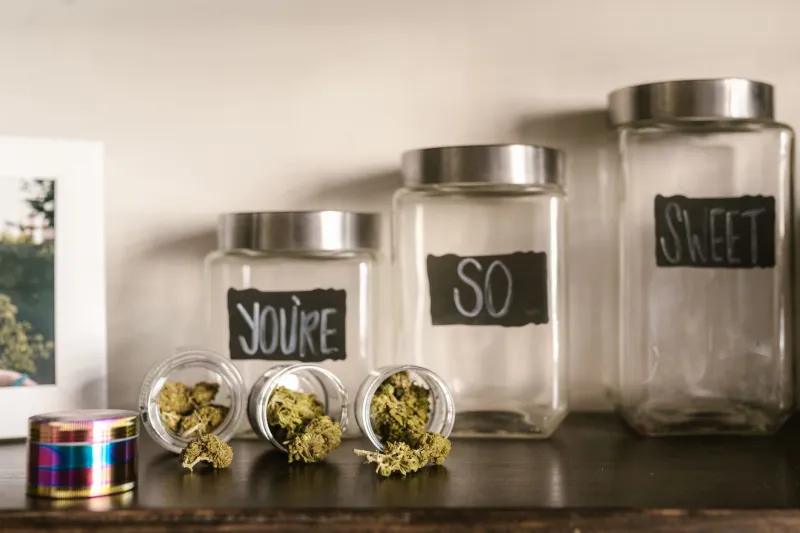 "Something Strong" and Other Phrases That Make Budtenders Wince: Behind the Counter, Unfiltered