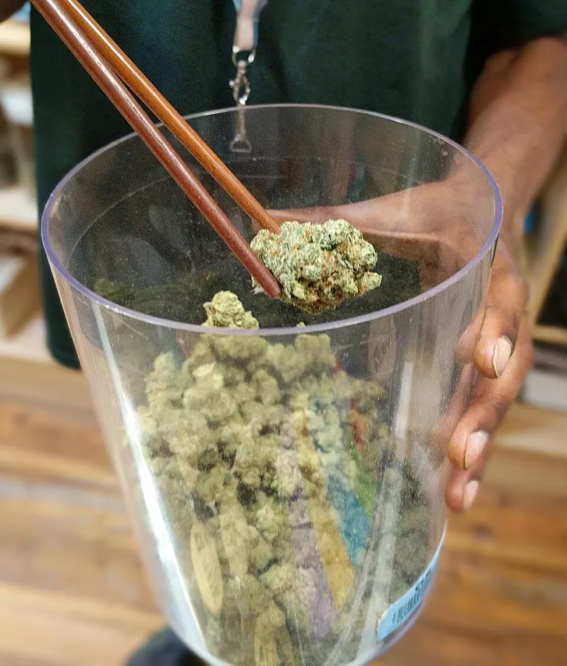 Same Leaf, Different Day: How Cannabis Branding Got Stuck in 2009 and the Designers Finally Escaping