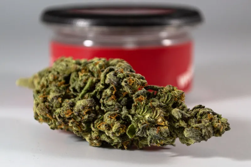 Premium, Top-Shelf, Exotic: A Field Guide to the Words Dispensaries Use to Empty Your Wallet