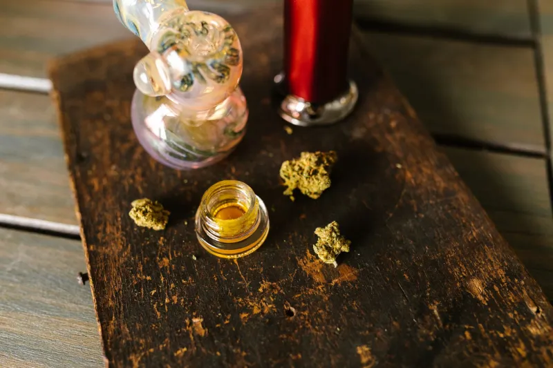 The Plant That Never Slept: Why Extractors Put Cannabis on Ice Before It Hits the Lab