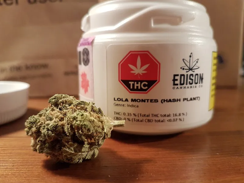 Six Months in a Mason Jar: The Quiet Goodbye Your Stash Says When You're Not Looking